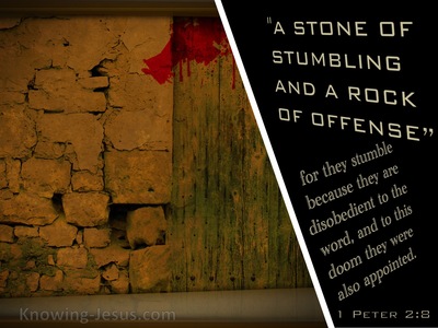 1 Peter 2:8 They Stumble, Being Disobedient To The Word (beige)
